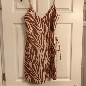 ASOS Zebra Dress